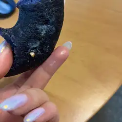 Donuts Club