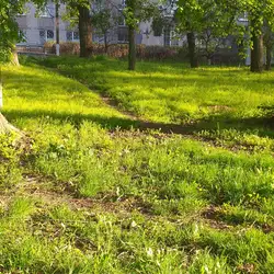 Гінекологічний корпус міської клінічної лікарні №9