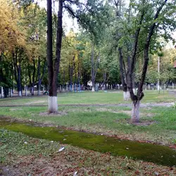 Заклад дошкільної освіти №355 "Ясочка"