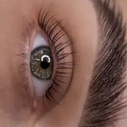 KURASOVA BROW