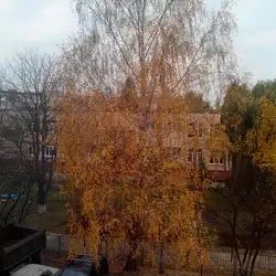 Дитячий садок №35 "Віночок" — Луцьк