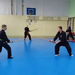 Bujinkan Ryuriki dojo - Печерський узвіз