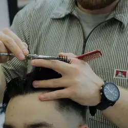 Barbershop Teddy Shark 2