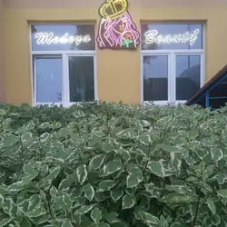Салон краси Medeya Beauty