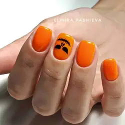 Elmira Beauty Studio