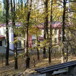 Заклад дошкільної освіти №221
