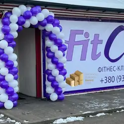 FitCurves - Глушкова