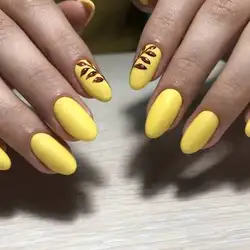Валерія Чайковська — Миколаїв