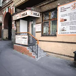 Жива