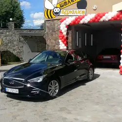 Шалена бджілка