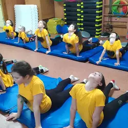 Фіткросики