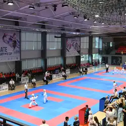 Центр фізкультурно-спортивного спрямування Іппон - Дмитрівська