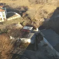 Кулиничі — Харків