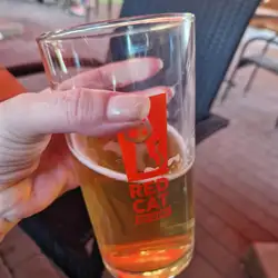RED CAT PUB — Харків