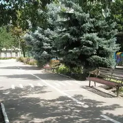 Дошкільний навчальний заклад (ясла-садок) №124