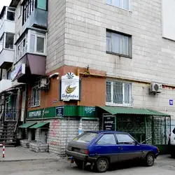 Каштан — Суми