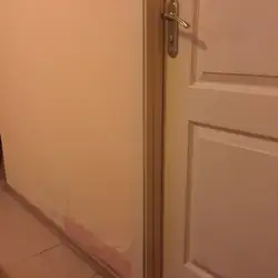 Віват — Тернопіль