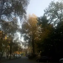 Ксенія