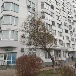 Дніпролаб - Київ, Миколи Бажана