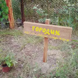 Дитячий табір Халлі-Галлі — Київ