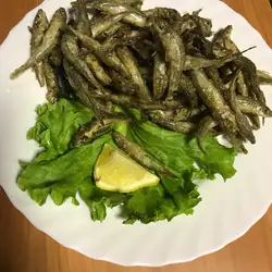 Кафе-Бар — Одеса