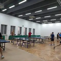 Настільний теніс Печерськ