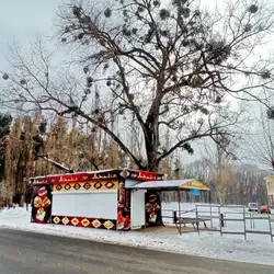 Мезопотамська кухня — Суми