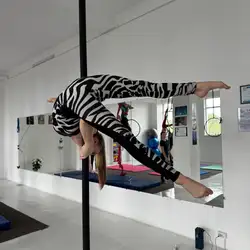 Школа повітряної акробатики Fly