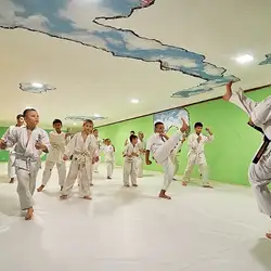 Fighter dojo