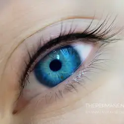 Анастасія Касілова Бровіст