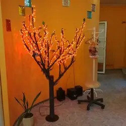 Юнона — Одеса