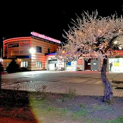 Автомийка/Шиномонтаж