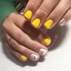 Яна — Кам’янське