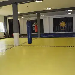 Спас яр