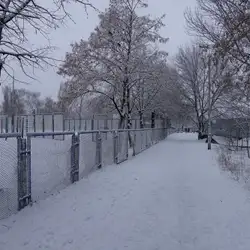 Середня загальноосвітня школа №235 ім. В'ячеслава Чорновола