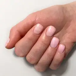 HAND HOUSE of BEAUTY
