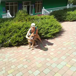 Клініка чернігівської державної лікарні ветеринарної медицини