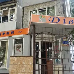 Діва — Житомир