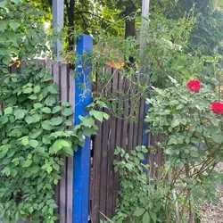 Шашлычный Дворик