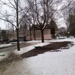 Навчально-реабілітаційний центр для дітей з вадами зору "Левеня"