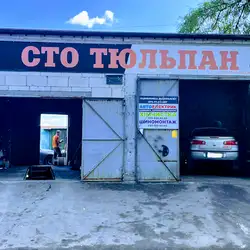 Тюльпан — Київ