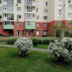Стоматологія Мрія Dent
