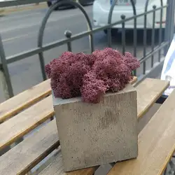 Клуб кави — Харків