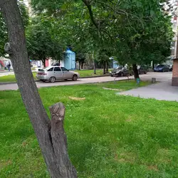 Дошкільний навчальний заклад (ясла-садок) №50