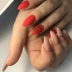 Сухина Христина — Хмельницький