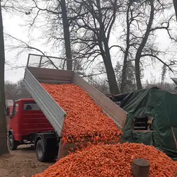 Gruzim-Vozim