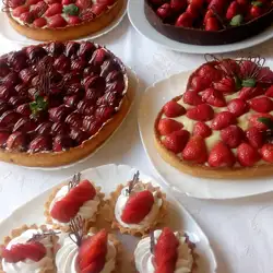 Шкварка — Одеса