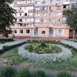 Жіноча консультація