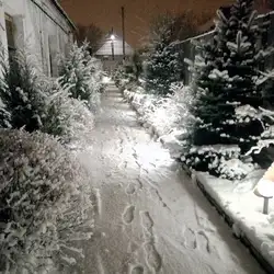 Купель Здоров'я