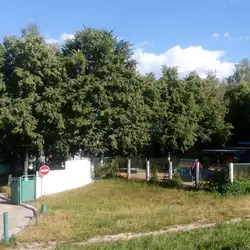 Заклад дошкільної освіти №72 "Ялинка"